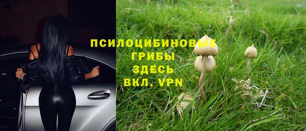 бутик Бородино