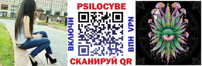 Галлюциногенные грибы Psilocybe  купить наркотик  Могоча 